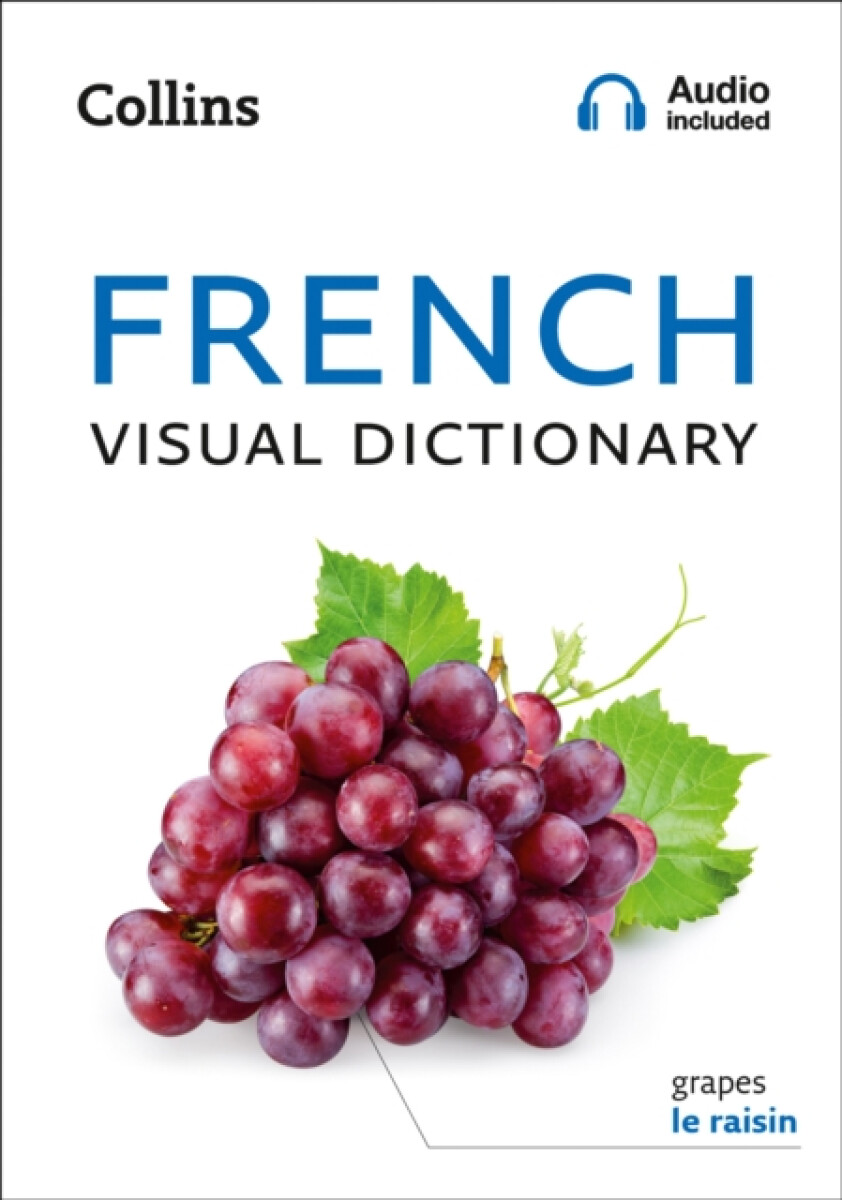 Kniha French Visual Dictionary