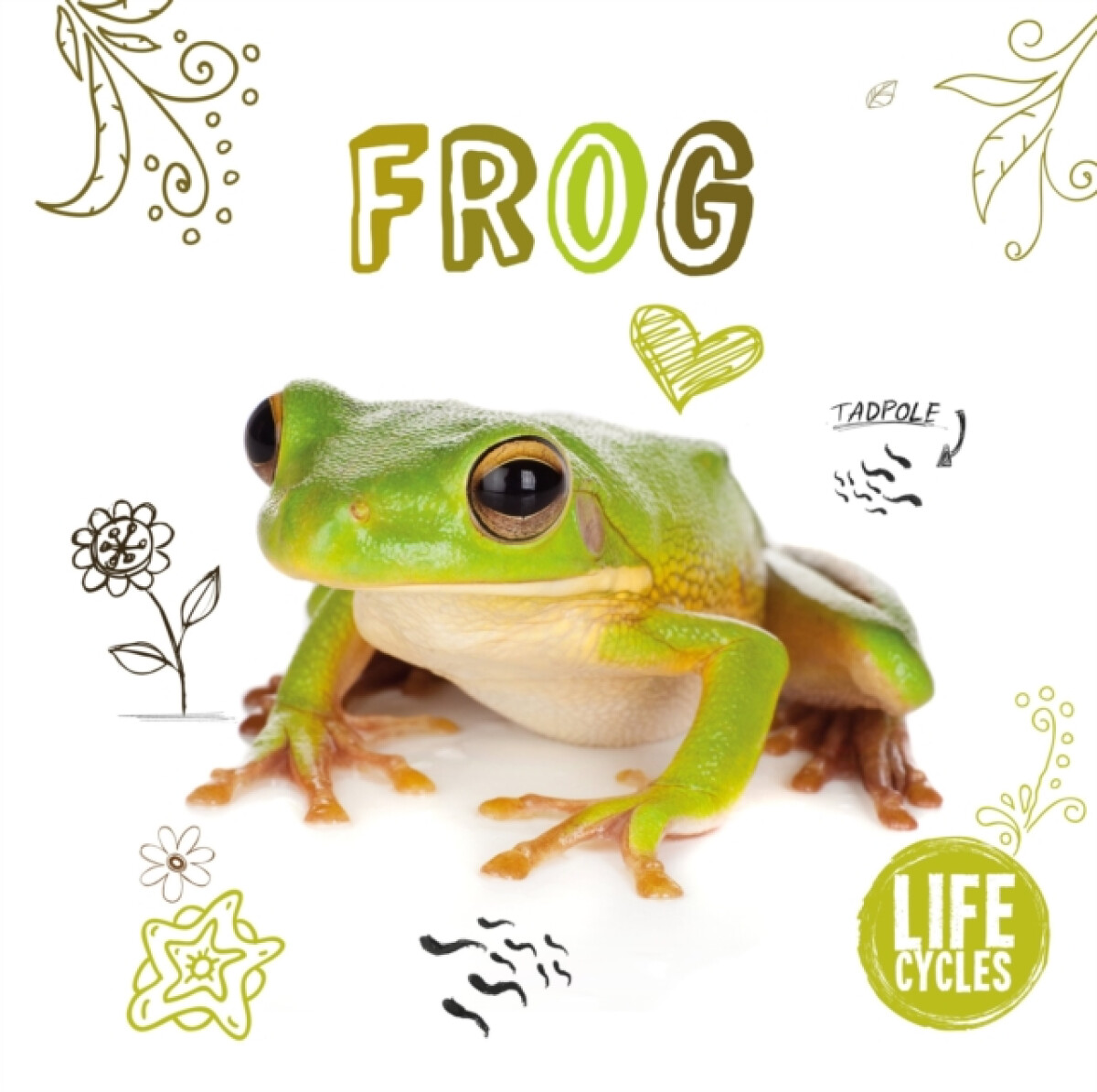 Kniha Frog