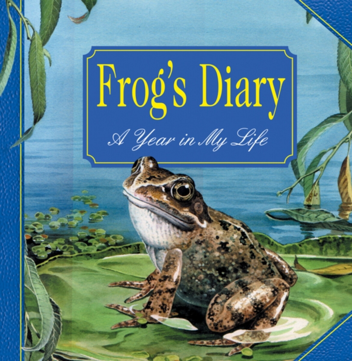 Kniha Frog's Diary