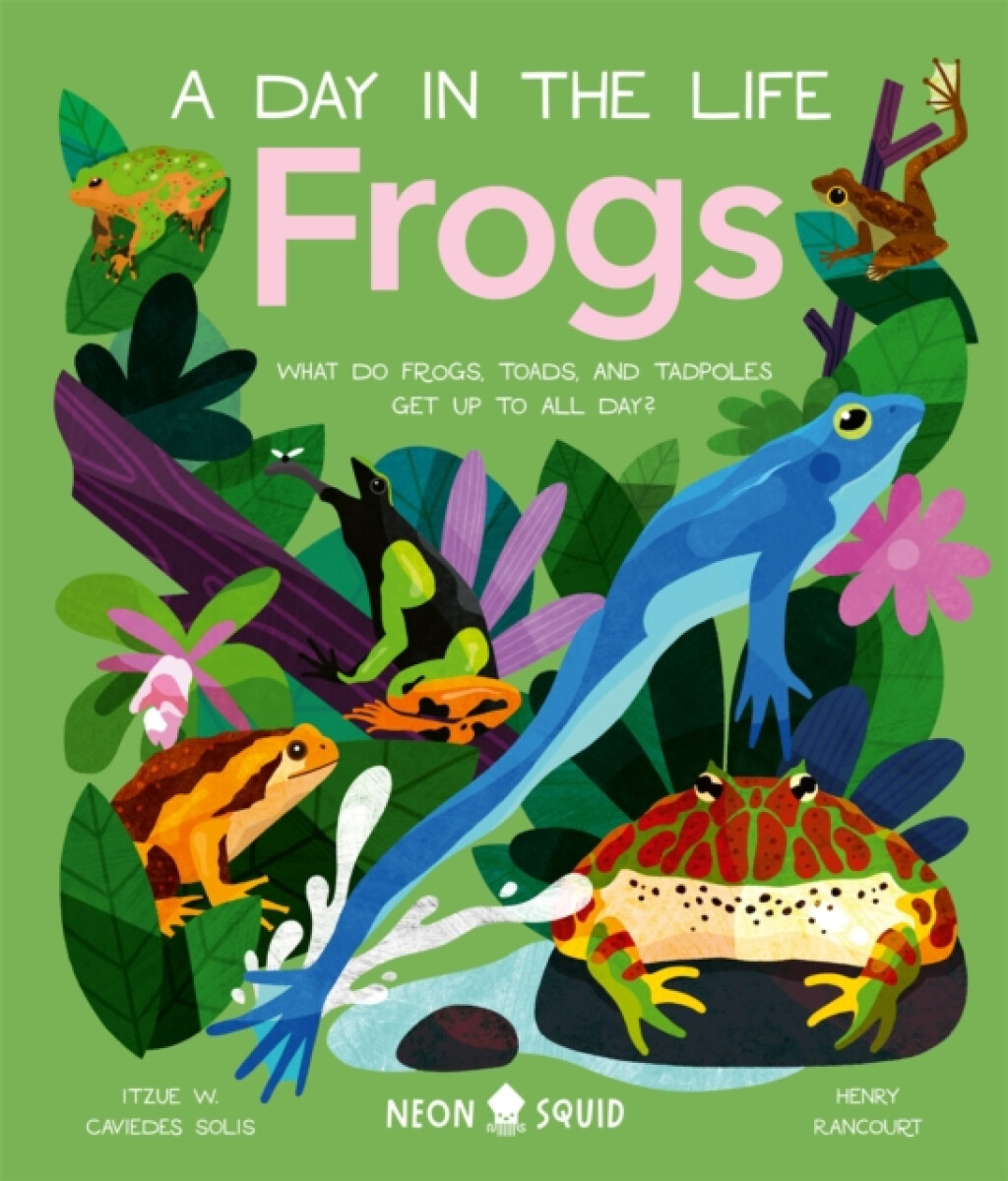 Kniha Frogs (A Day in the Life)