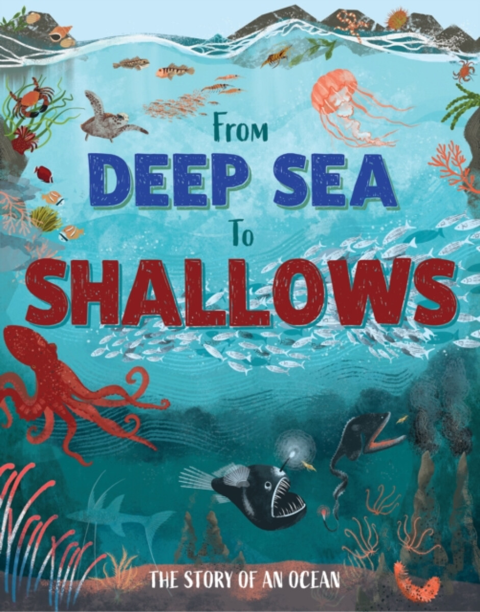 Kniha From Deep Sea to Shallows: The Story of Oceans