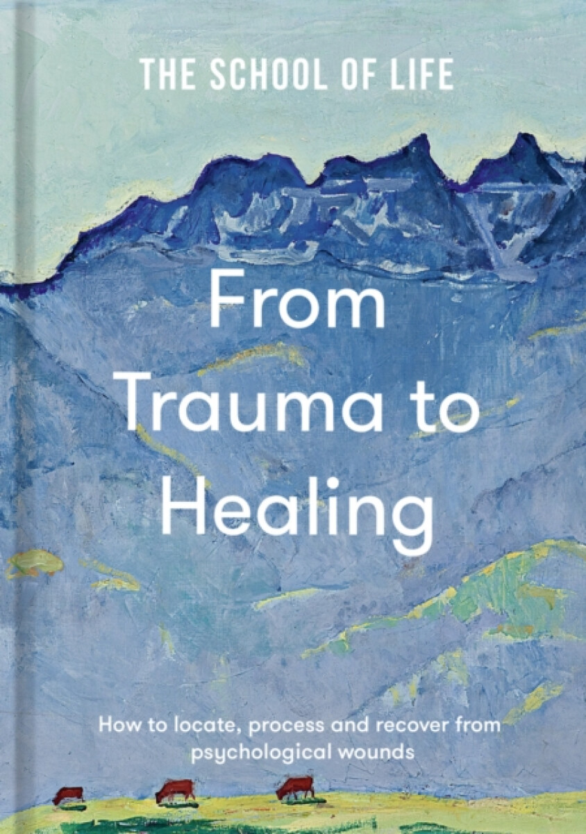 Kniha From Trauma to Healing