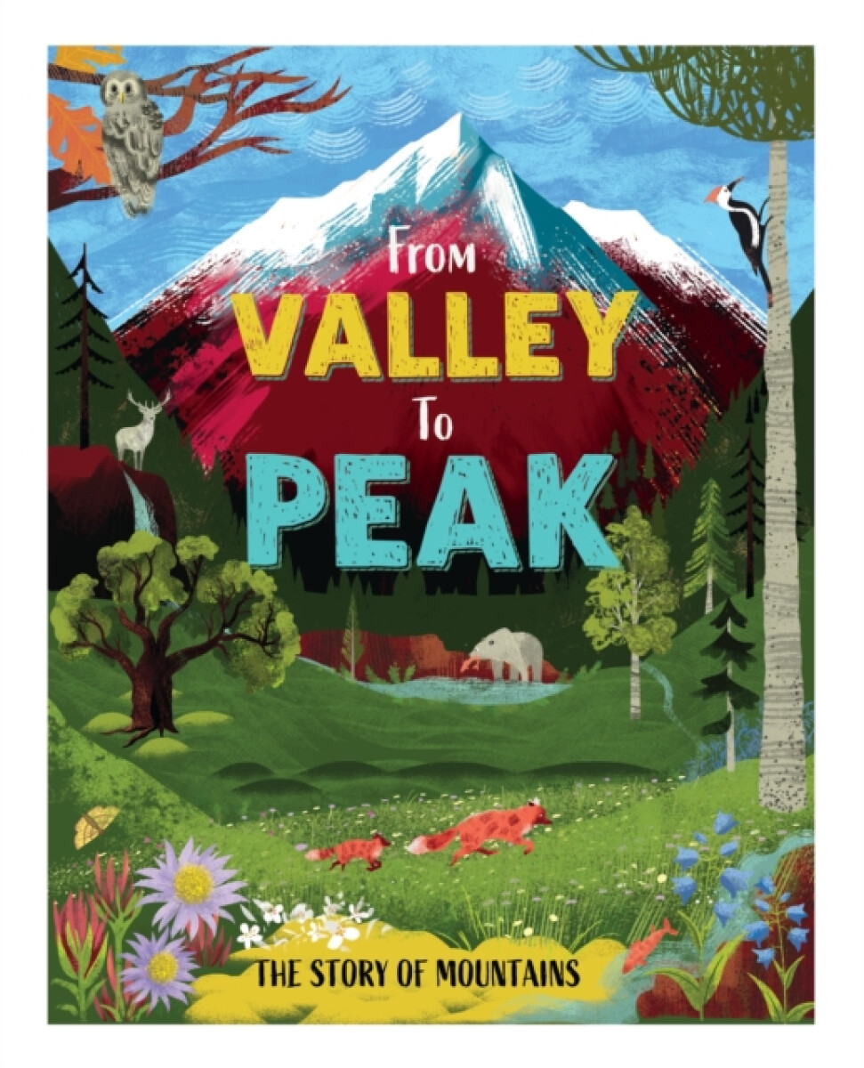 From Valley to Peak: The Story of Mountains - Ben Hubbard