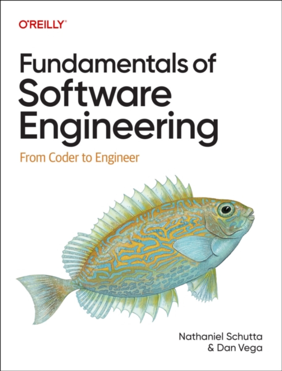 Kniha Fundamentals of Software Engineering