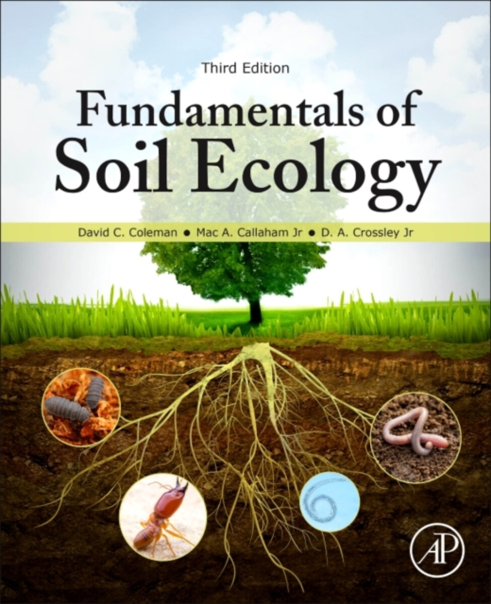 Kniha Fundamentals of Soil Ecology