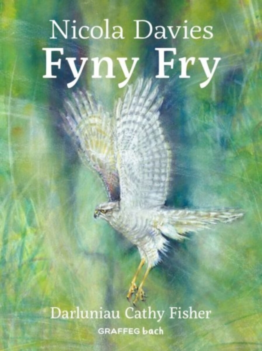 Kniha Fyny Fry