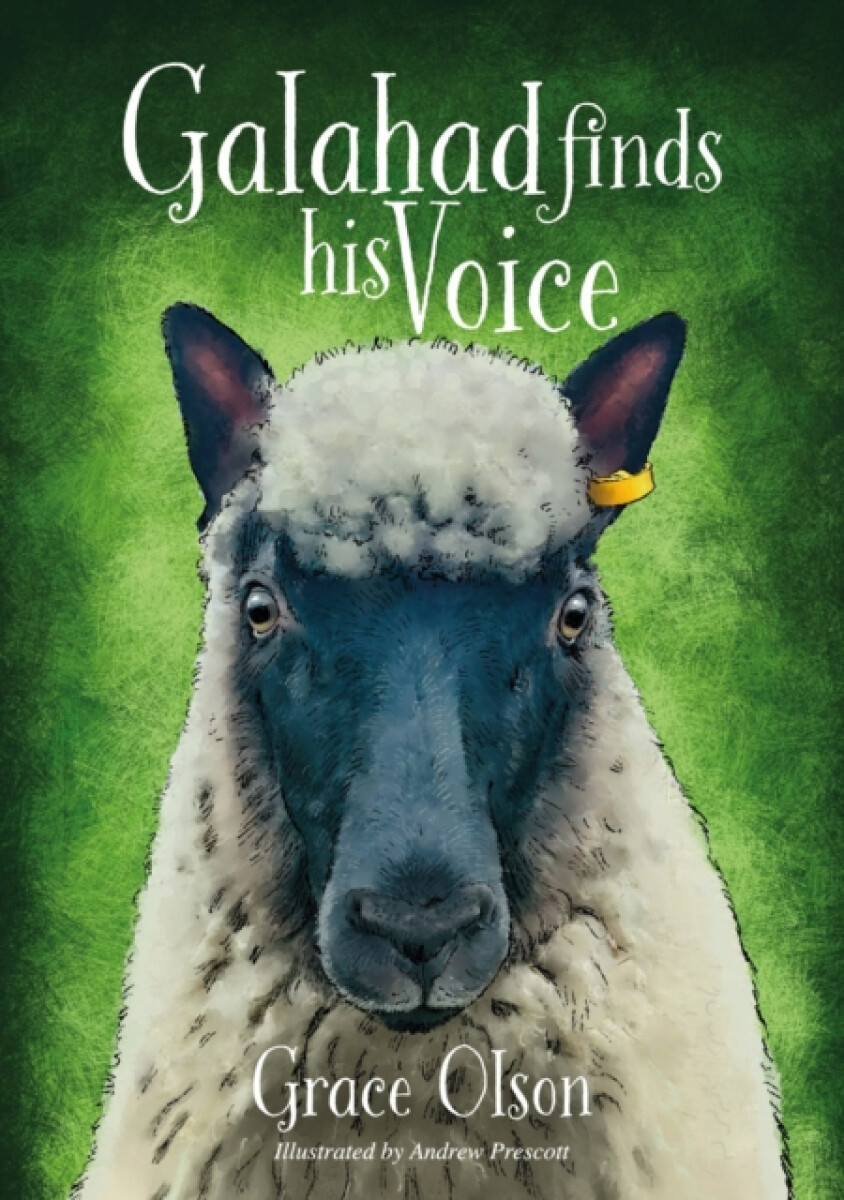 Kniha Galahad finds his Voice