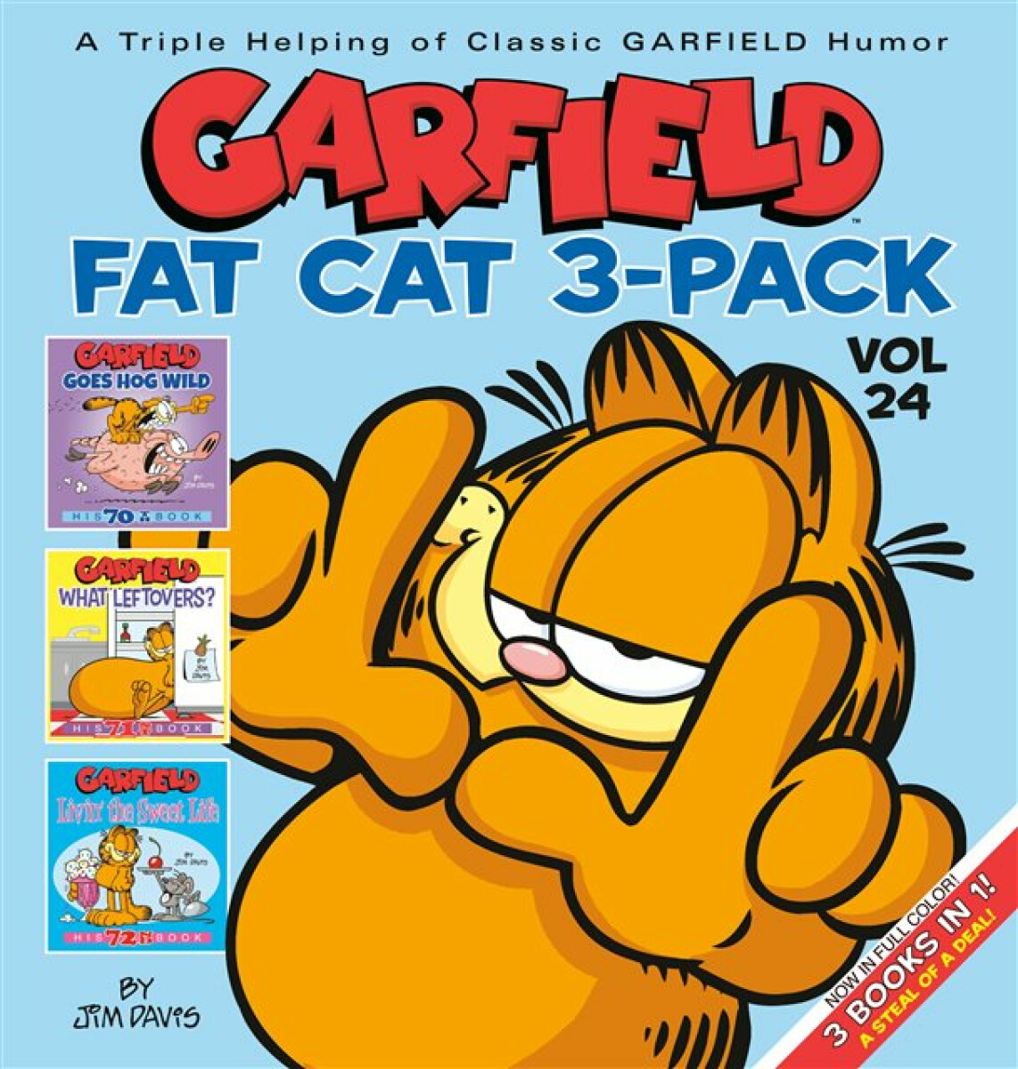 Kniha Garfield Fat Cat #24