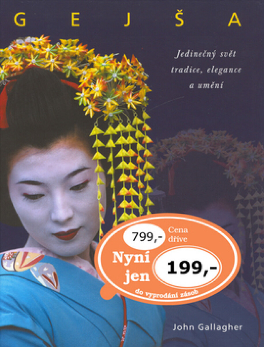 Kniha Gejša (poškozená)