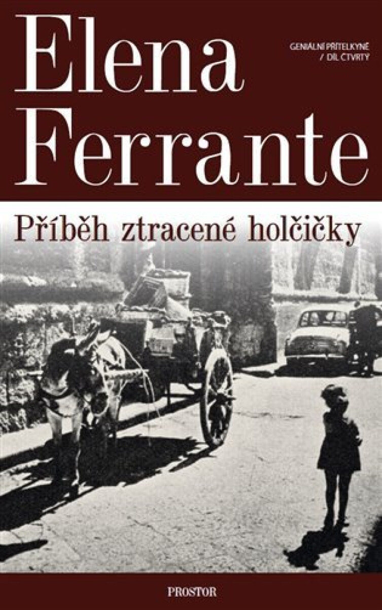 Kniha Geniální přítelkyně 4 - Příběh ztracené holčičky. Díl čtvrtý