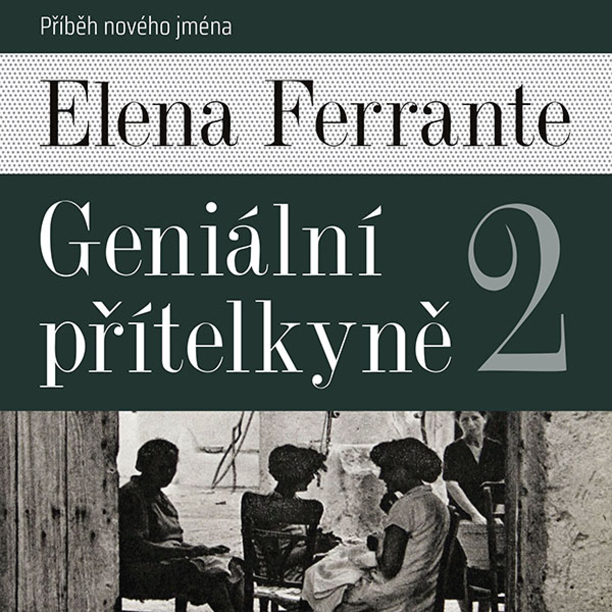 Levně Geniální přítelkyně II. - Elena Ferrante - audiokniha