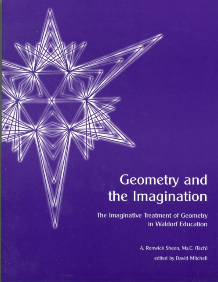 Kniha Geometry and the Imagination