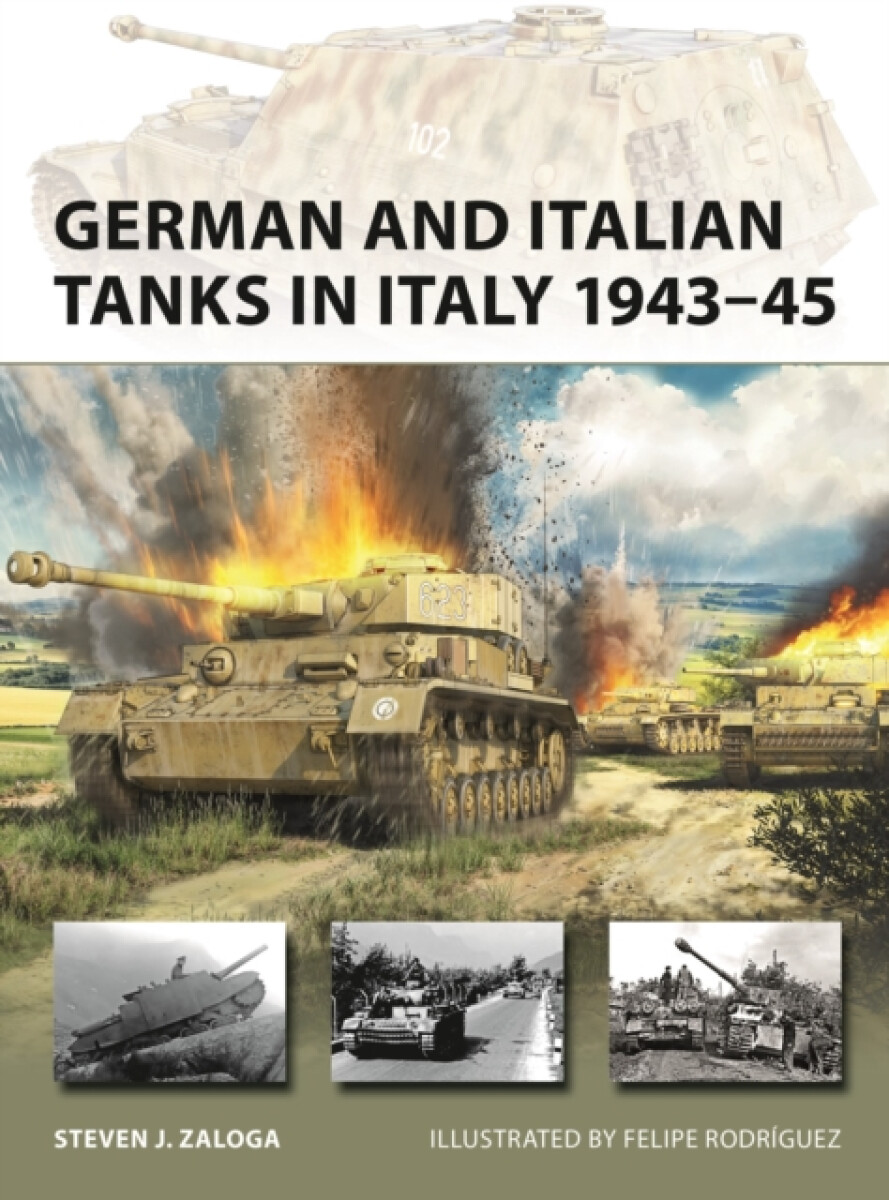Kniha German and Italian Tanks in Italy 1943'-45