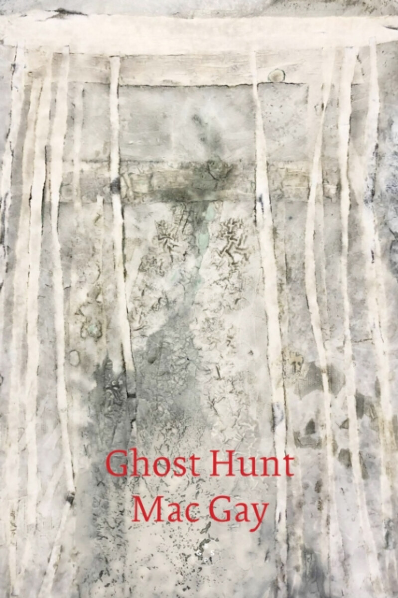 Kniha Ghost Hunt