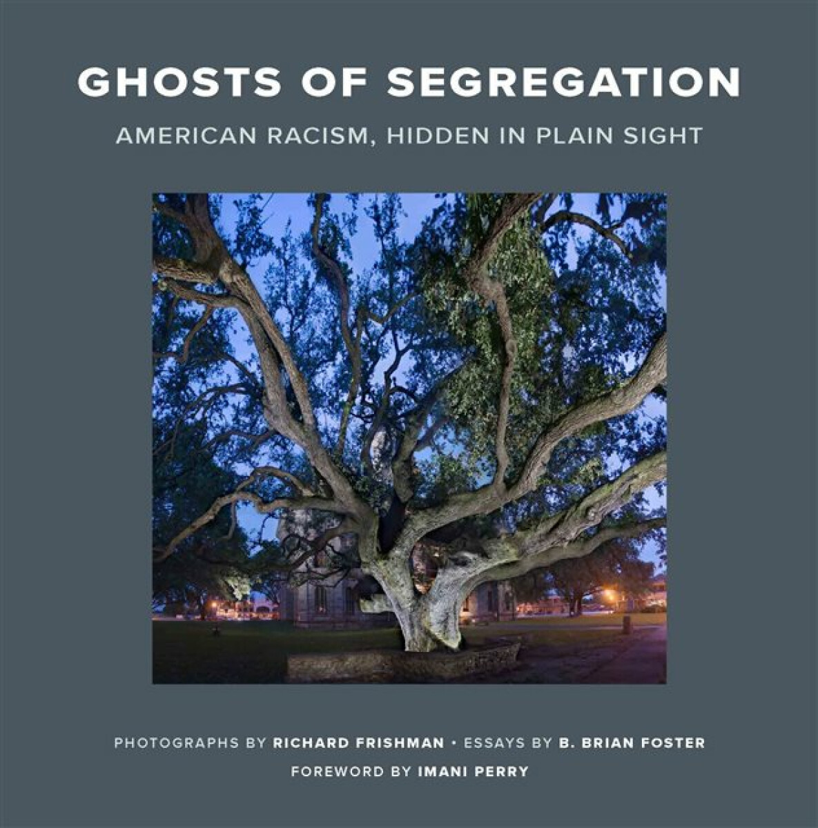 Kniha Ghosts of Segregation