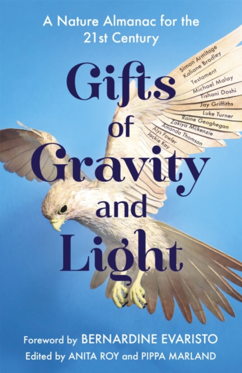 Kniha Gifts of Gravity and Light