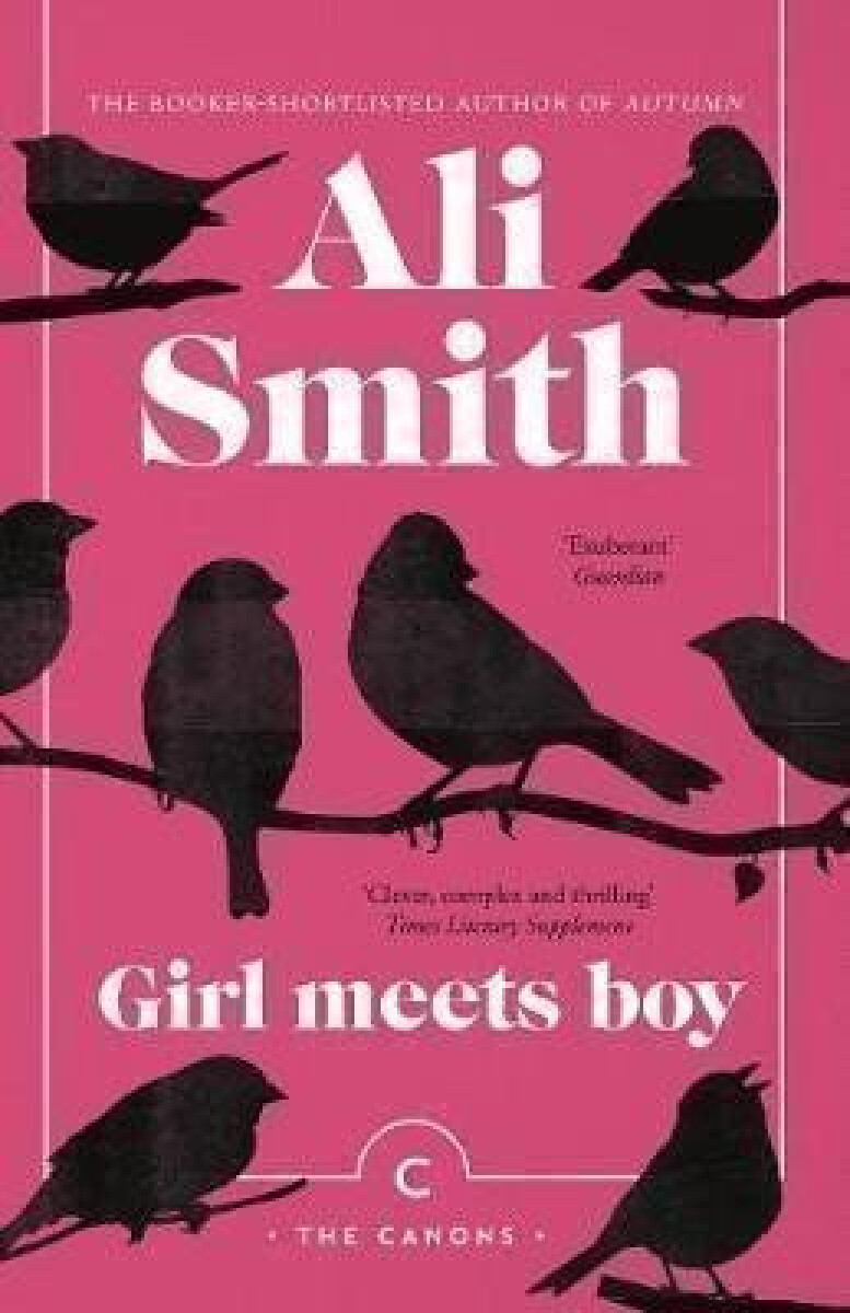 Kniha Girl Meets Boy