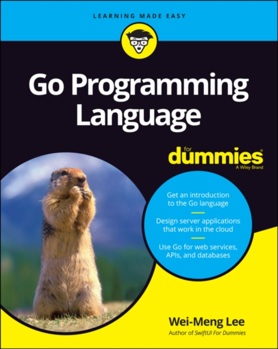 Kniha Go Programming Language For Dummies
