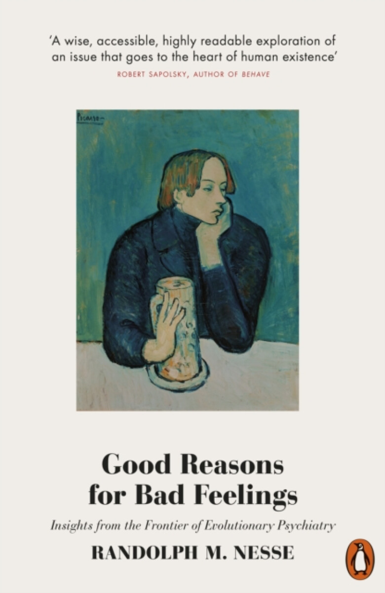 Kniha Good Reasons for Bad Feelings