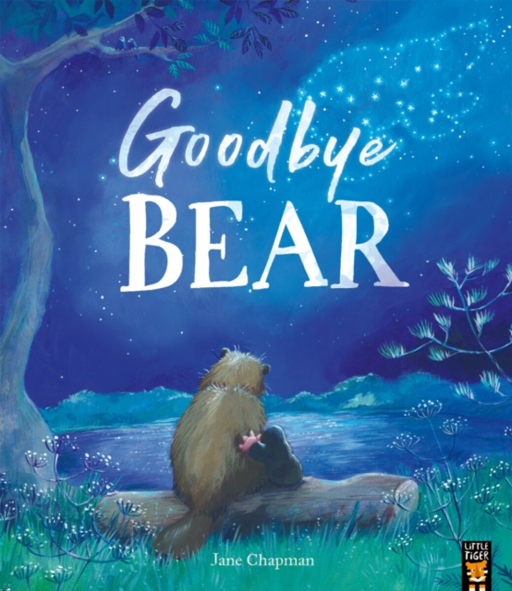 Kniha Goodbye Bear