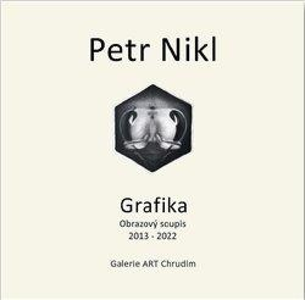 Kniha Petr Nikl - Grafika - Obrazový soupis 2013 - 2022