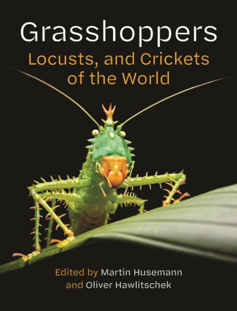 Kniha Grasshoppers, Locusts, and Crickets of the World