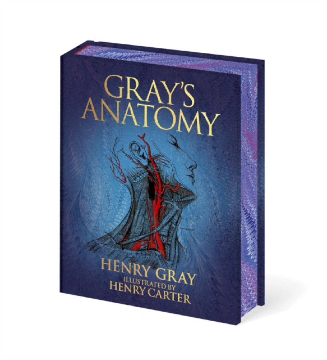 Kniha Gray's Anatomy
