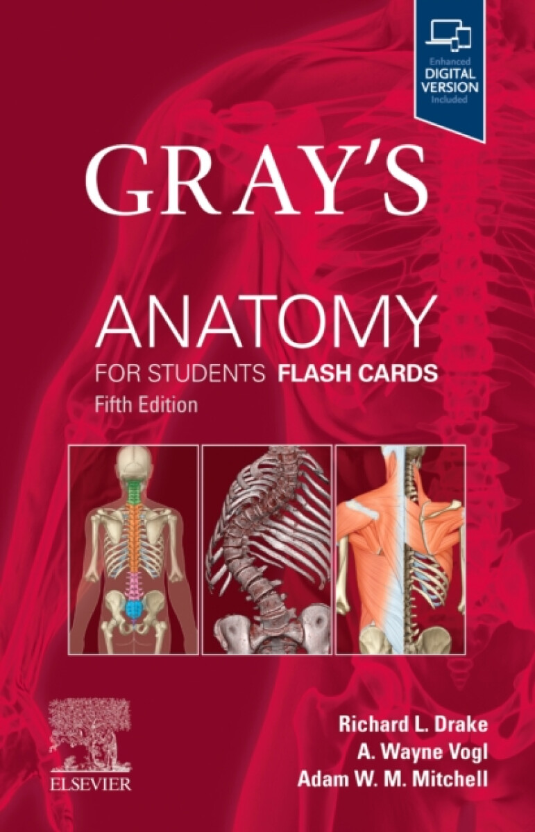 Kniha Gray's Anatomy for Students Flash Cards