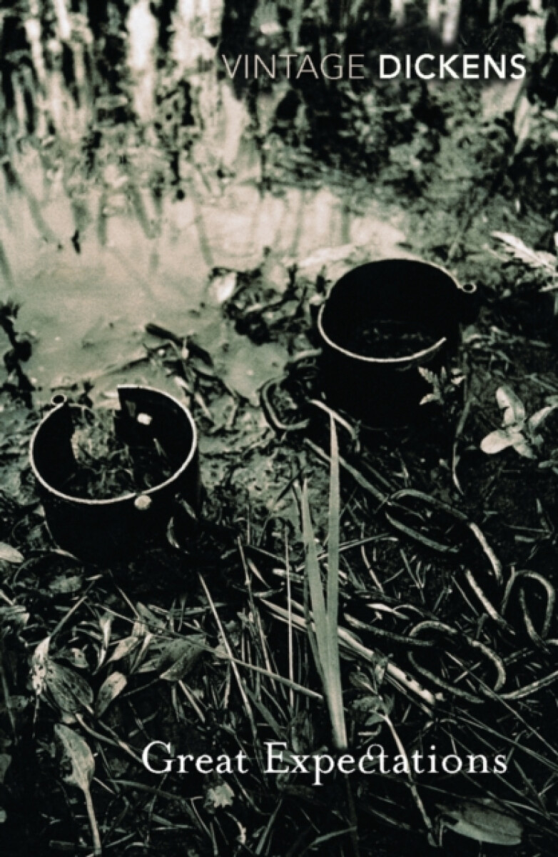 Great Expectations koupíte na Knihydobrovsky.cz