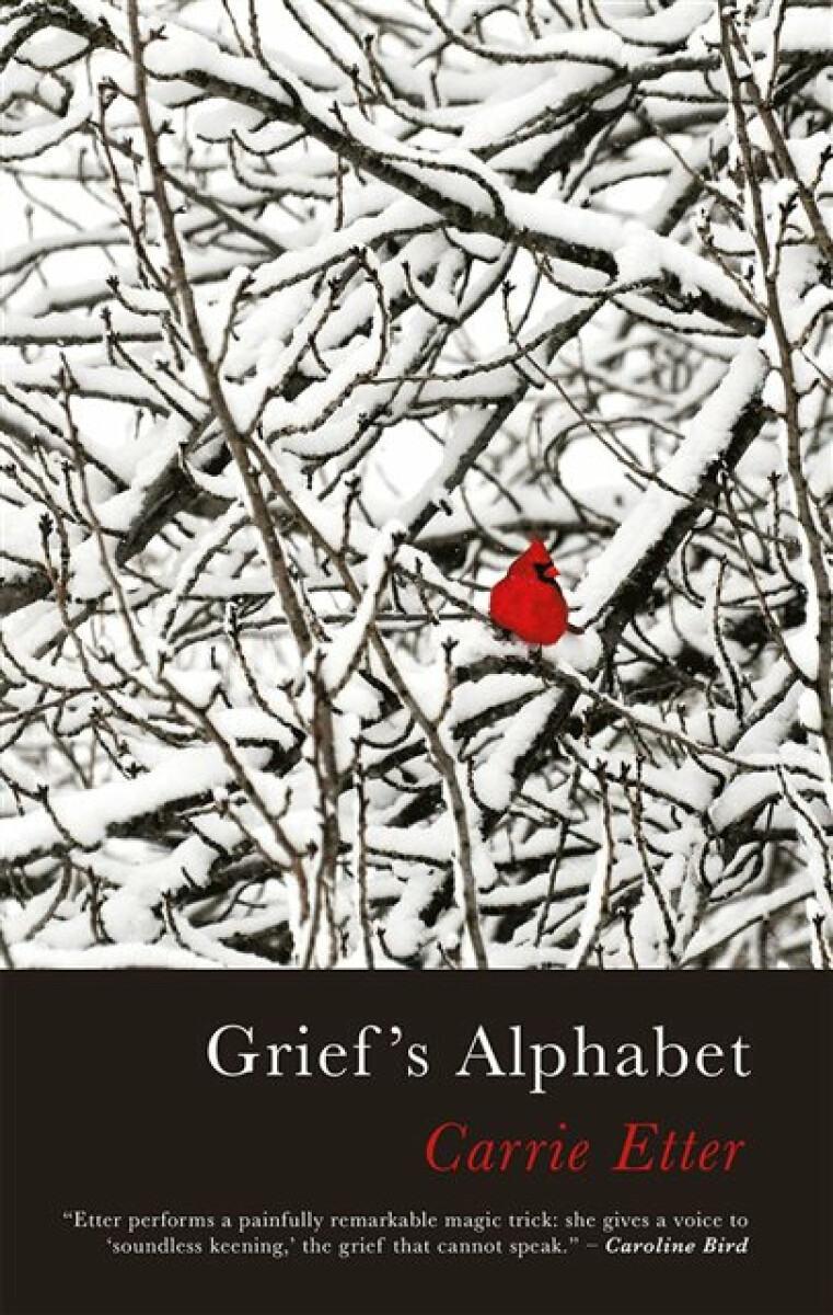 Kniha Grief's Alphabet