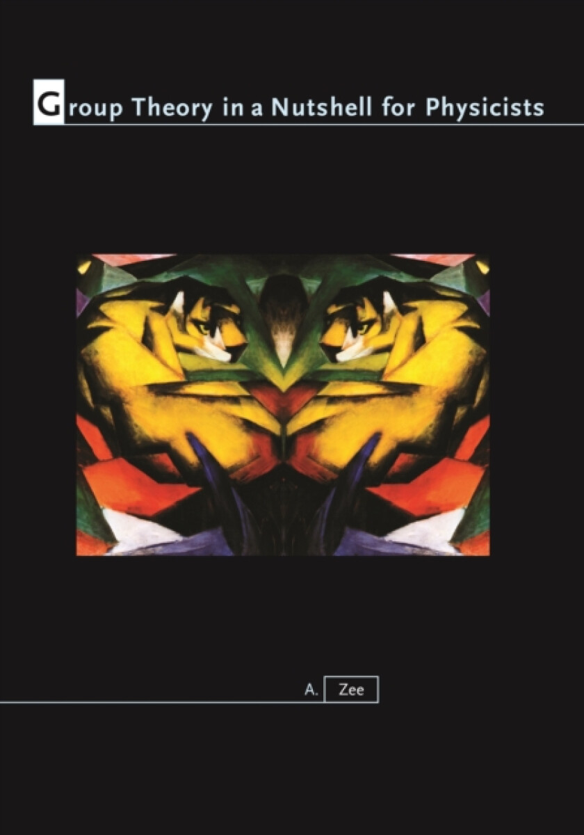 Kniha Group Theory in a Nutshell for Physicists