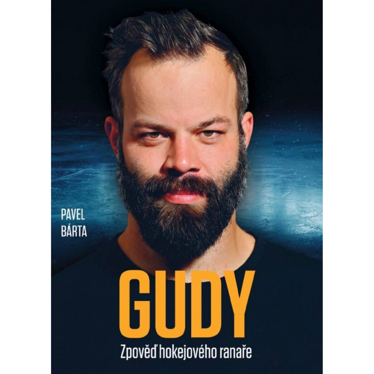 Gudy - Pavel Bárta