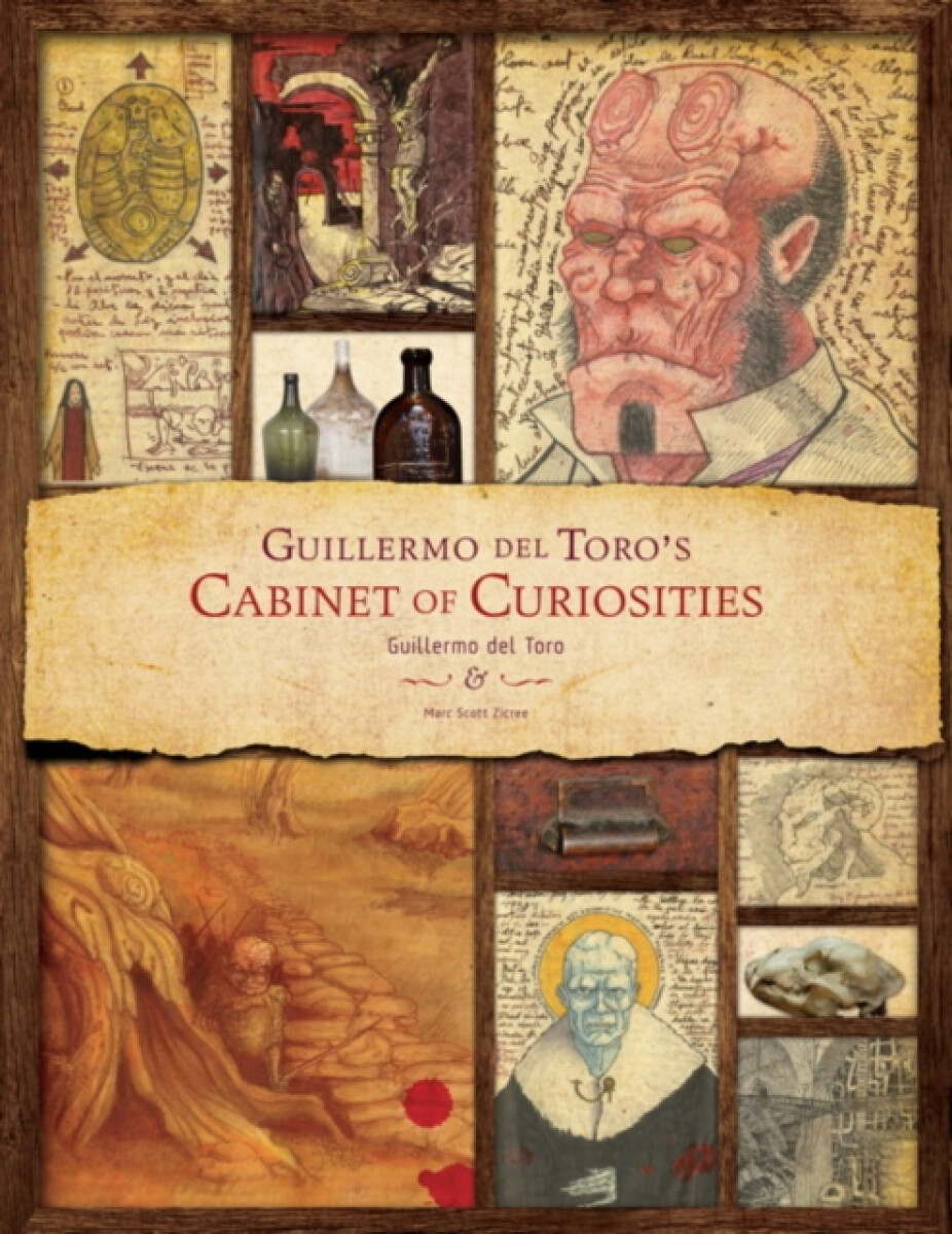 Kniha Cabinet of Curiosities
