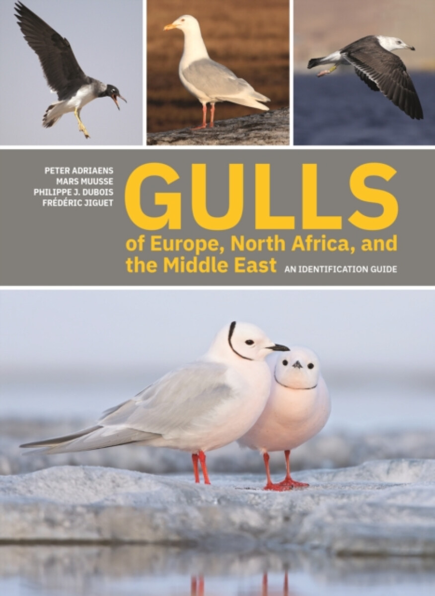 Kniha Gulls of Europe, North Africa, and the Middle East