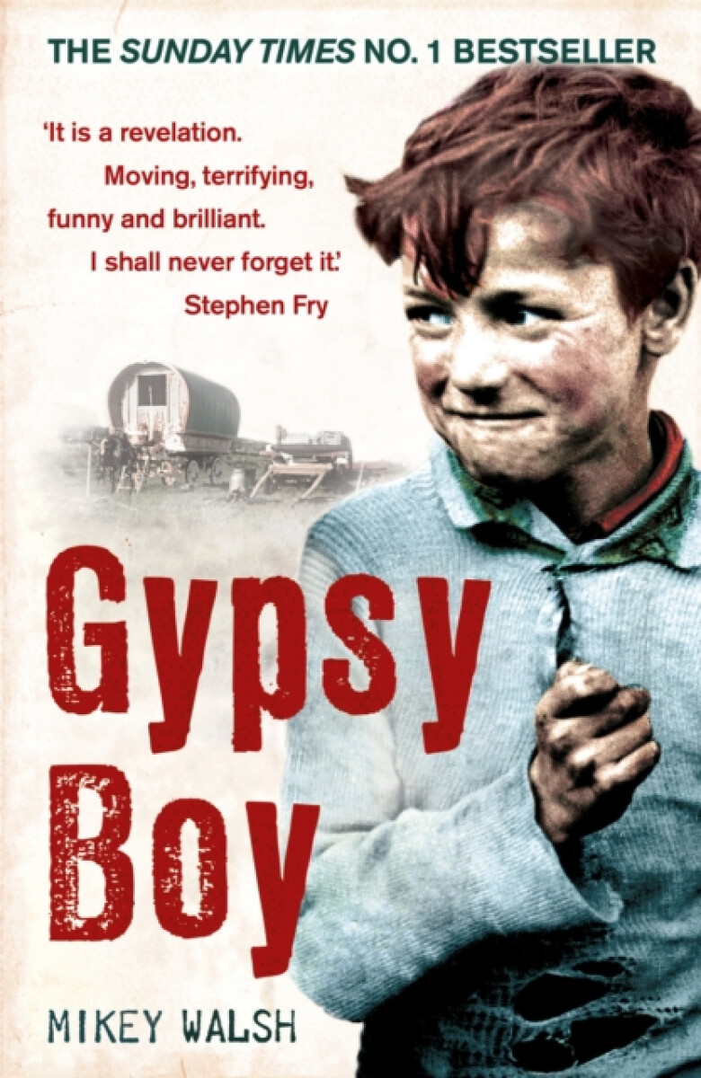 Kniha Gypsy Boy