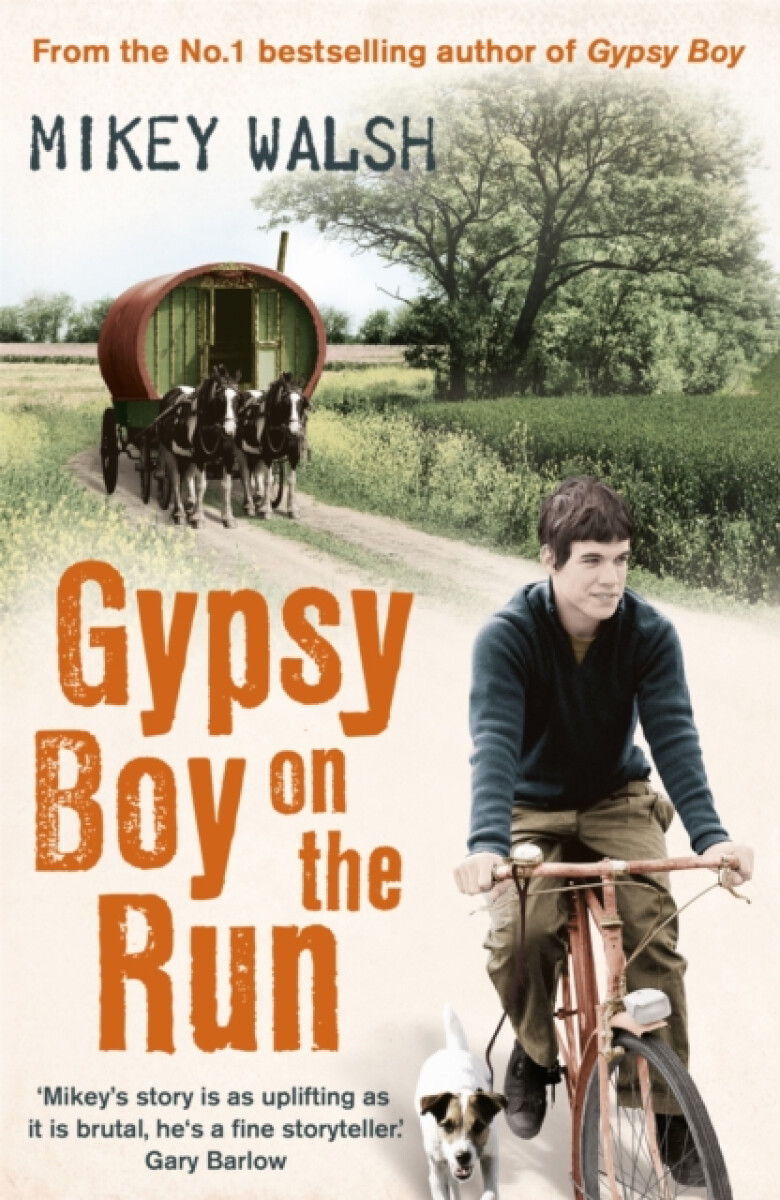 Kniha Gypsy Boy on the Run