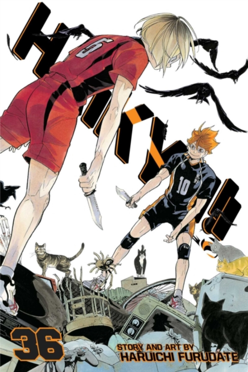 Kniha Haikyu!! 36