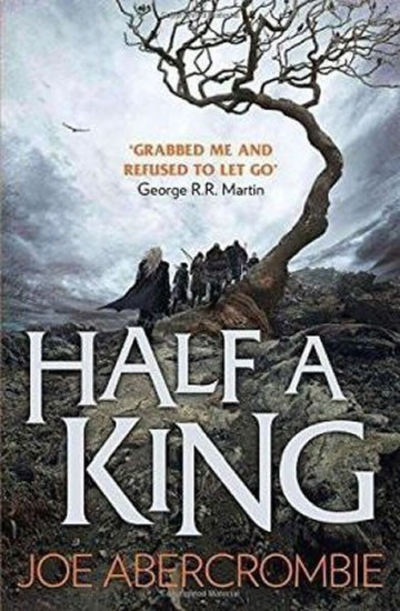 Kniha Shattered Sea 01. Half a King