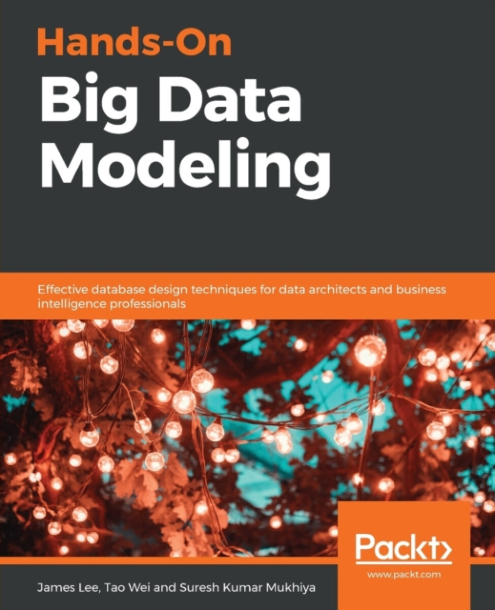 Kniha Hands-On Big Data Modeling