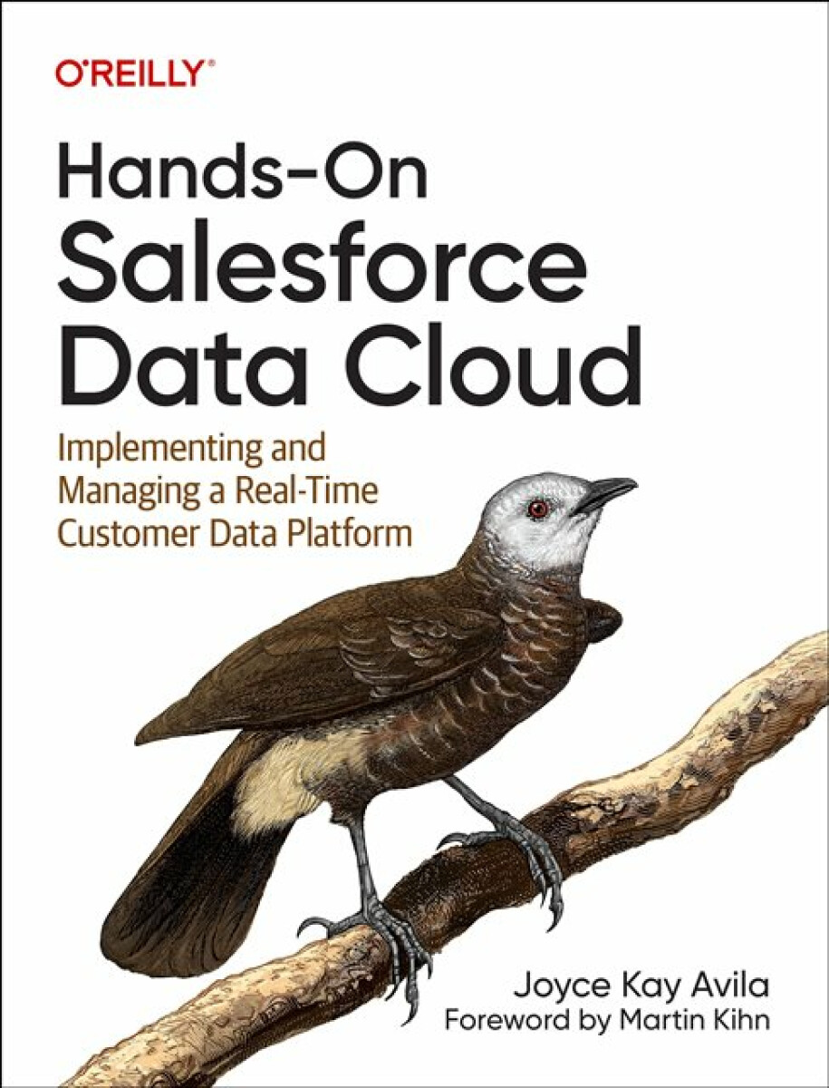 Kniha Hands-On Salesforce Data Cloud