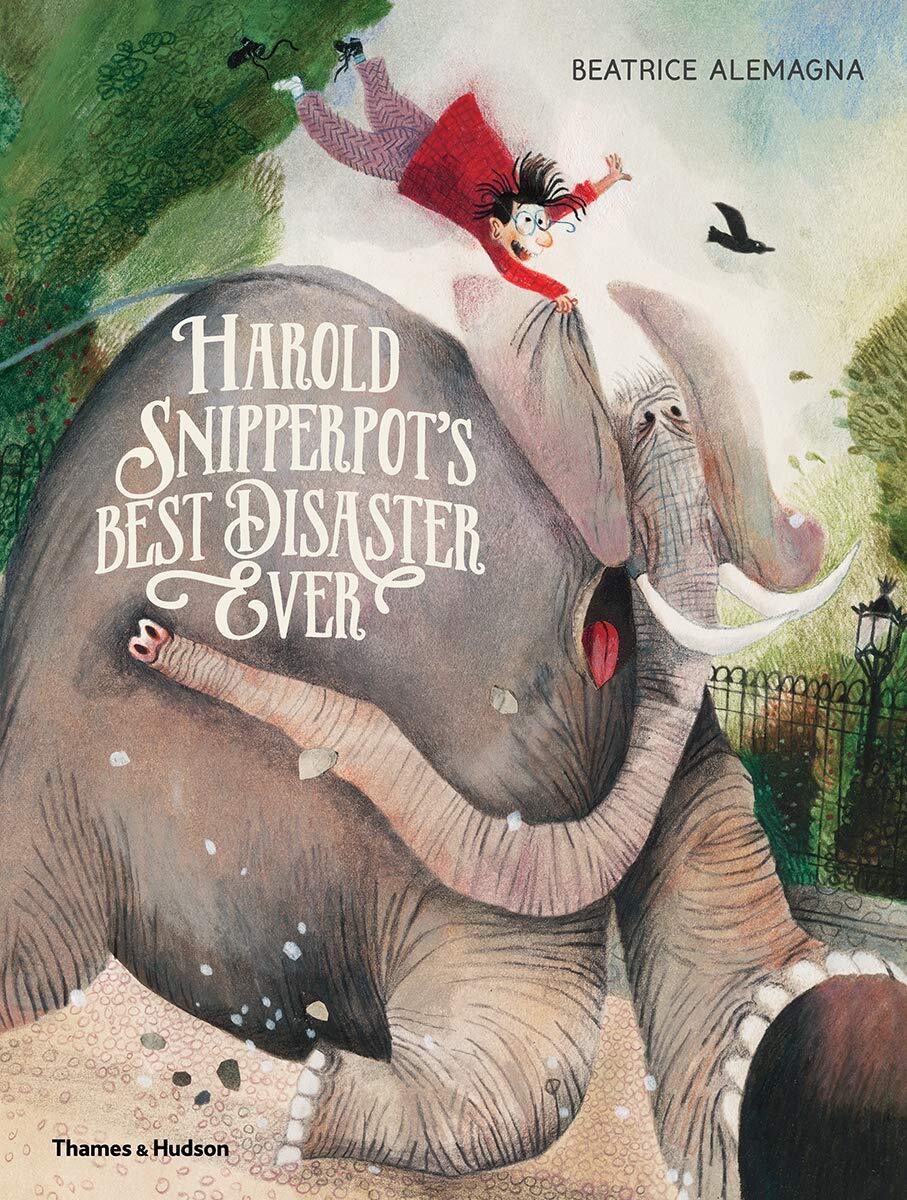 Kniha Harold Snipperpot’s Best Disaster Ever