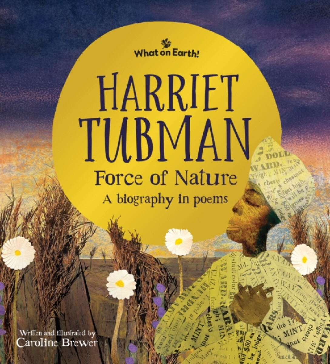 Kniha Harriet Tubman, Force of Nature