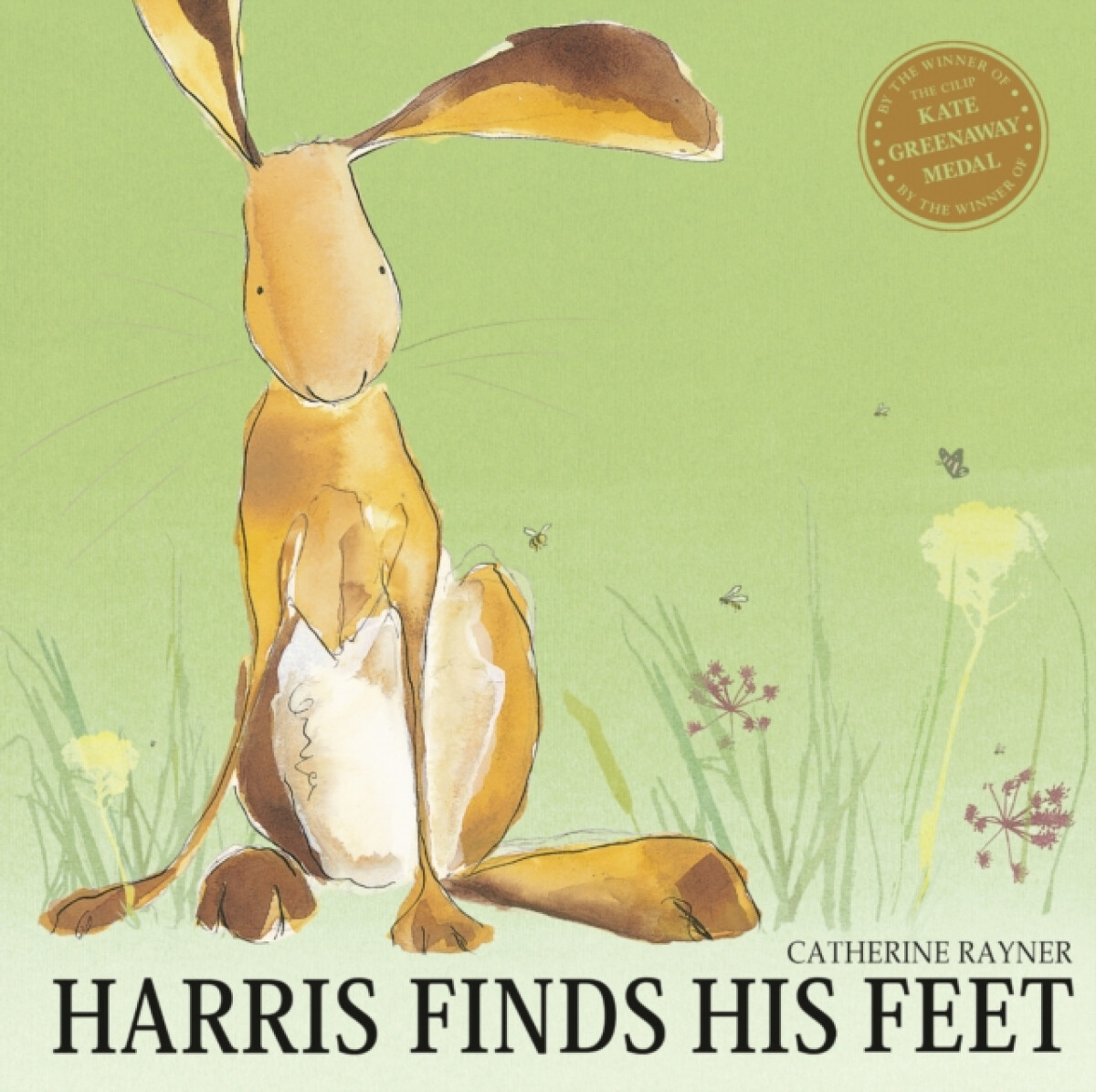 Kniha Harris Finds His Feet