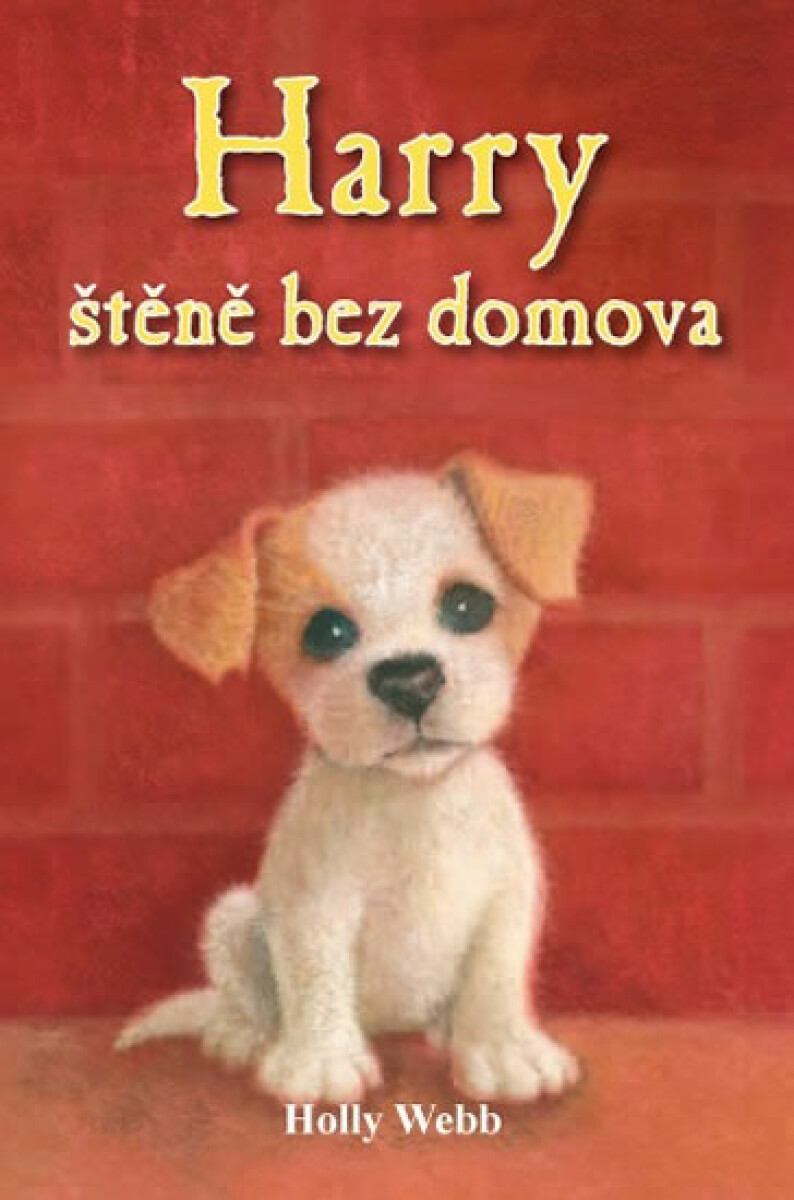 Kniha Harry - štěně bez domova