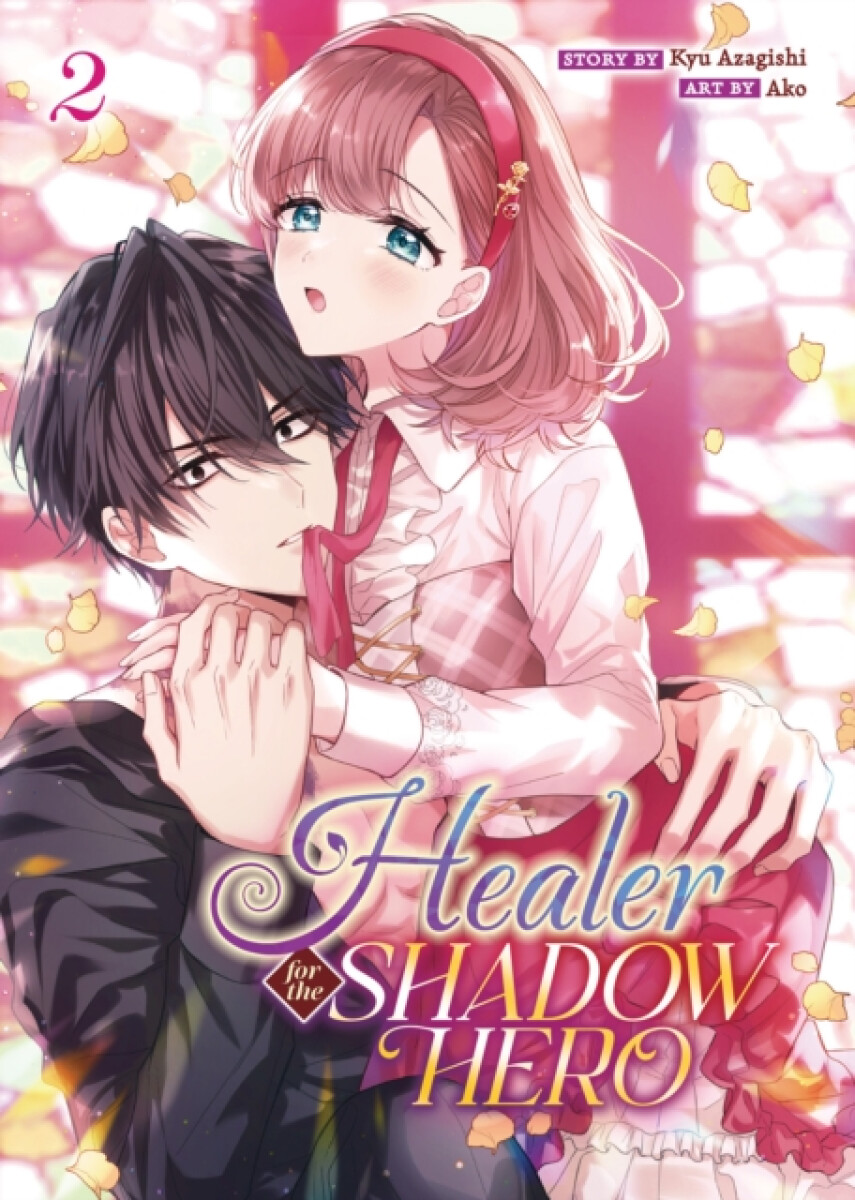 Kniha Healer for the Shadow Hero (Manga) Vol. 2