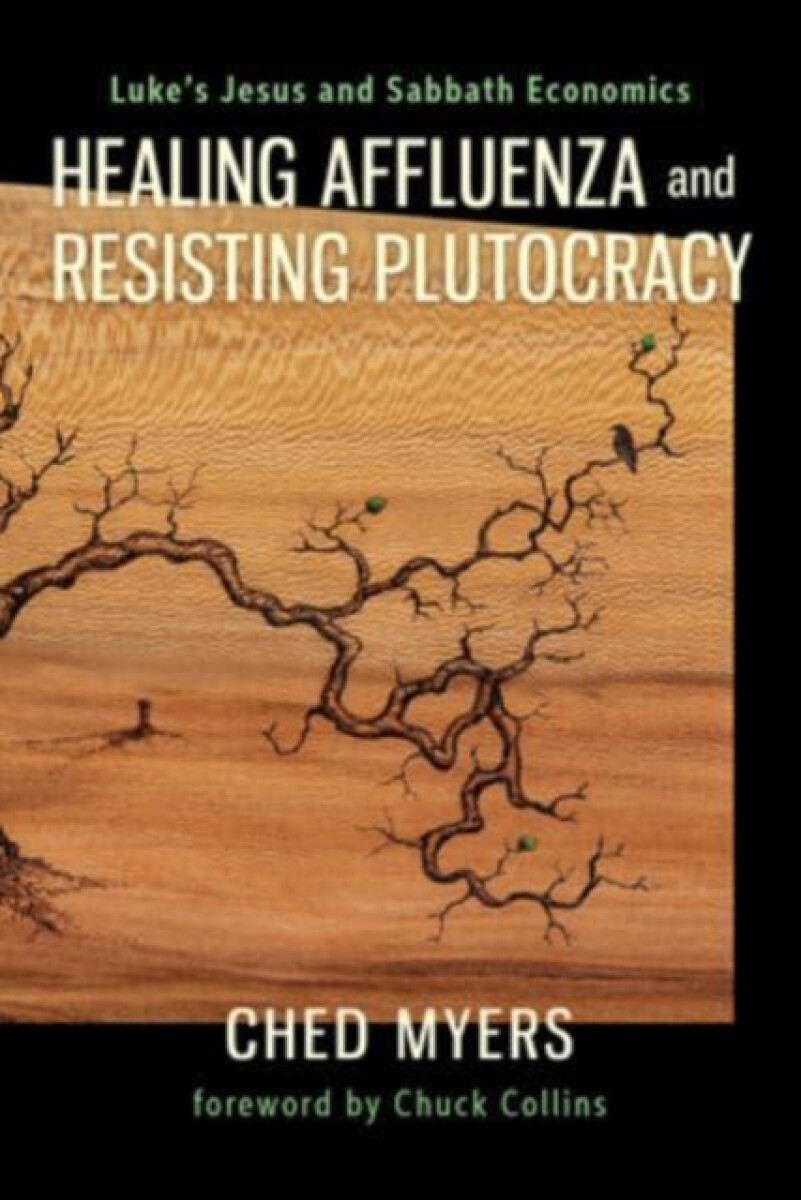 Kniha Healing Affluenza and Resisting Plutocracy