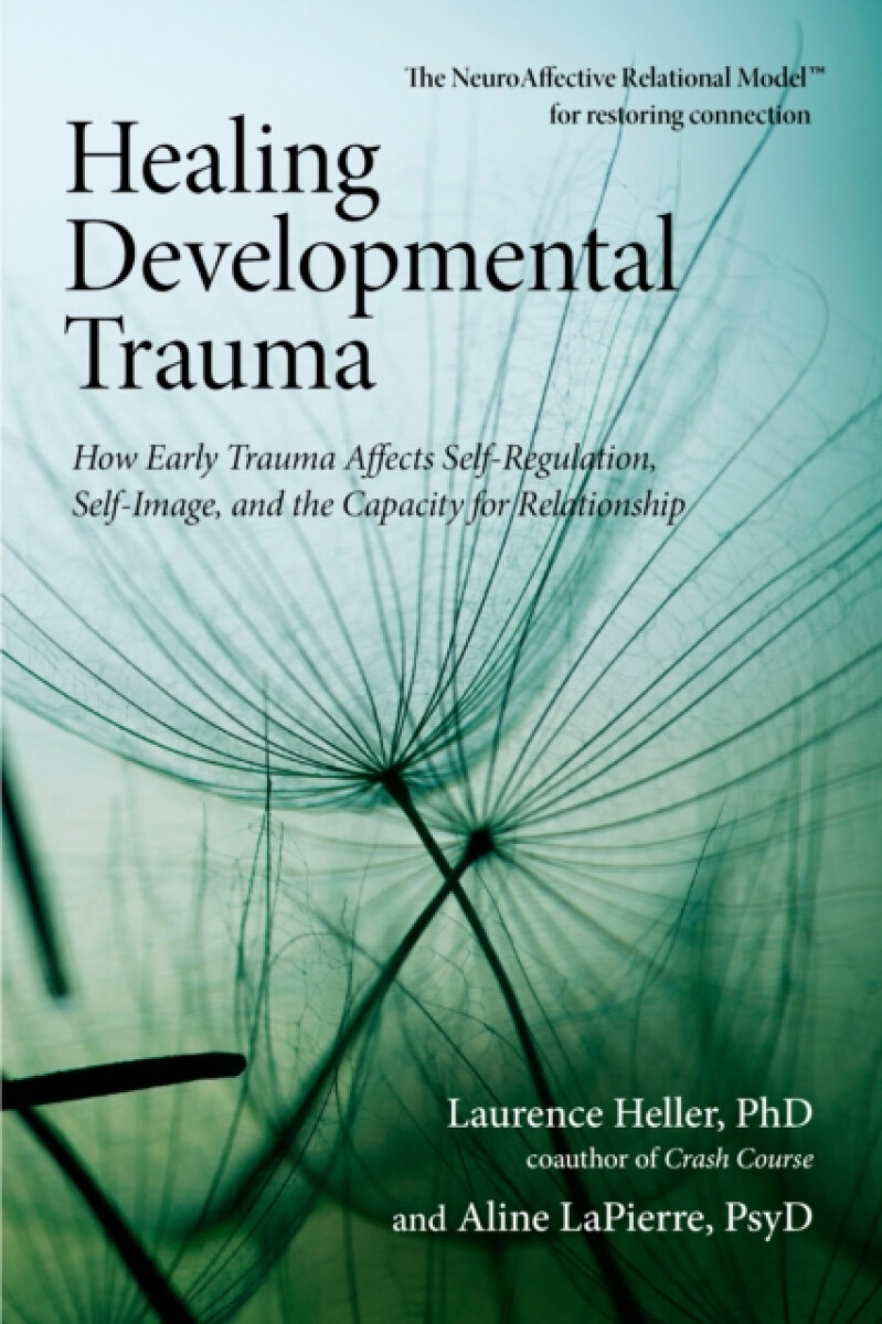 Kniha Healing Developmental Trauma