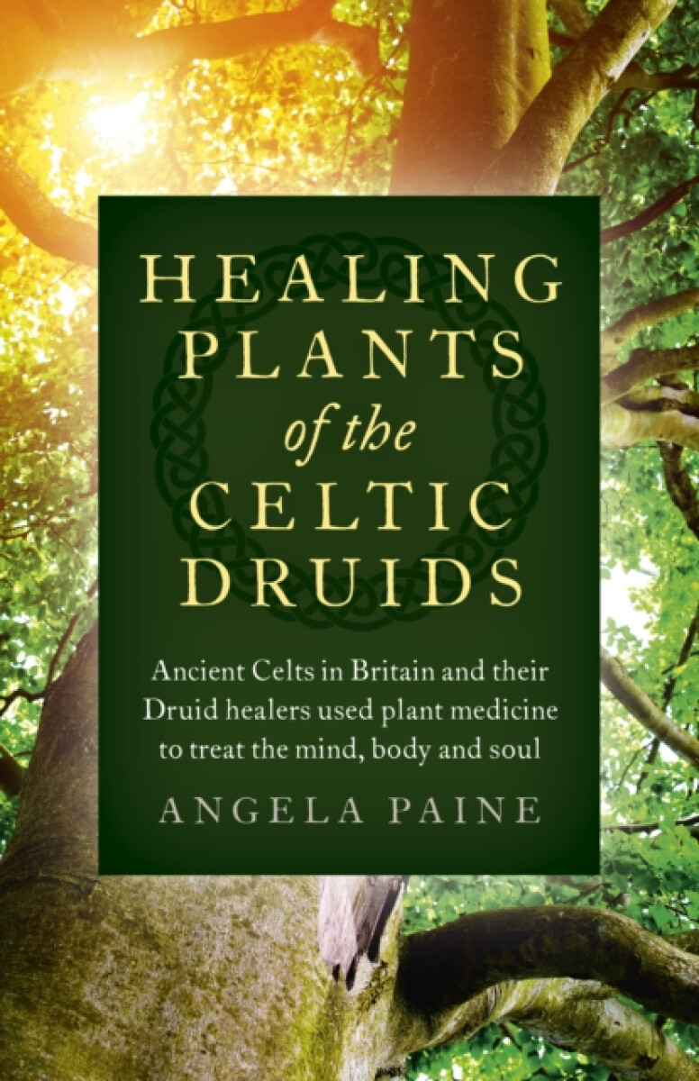 Healing Plants of the Celtic Druids - Angela Paine