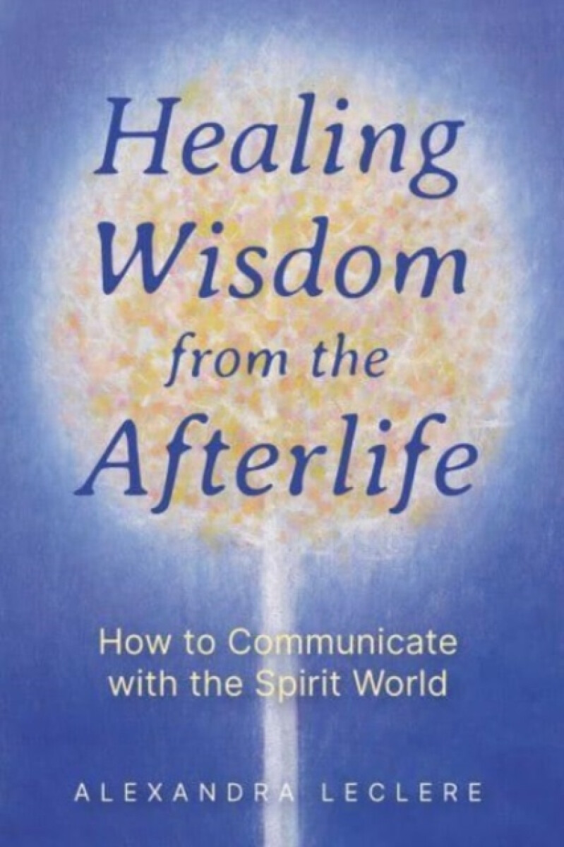 Kniha Healing Wisdom from the Afterlife