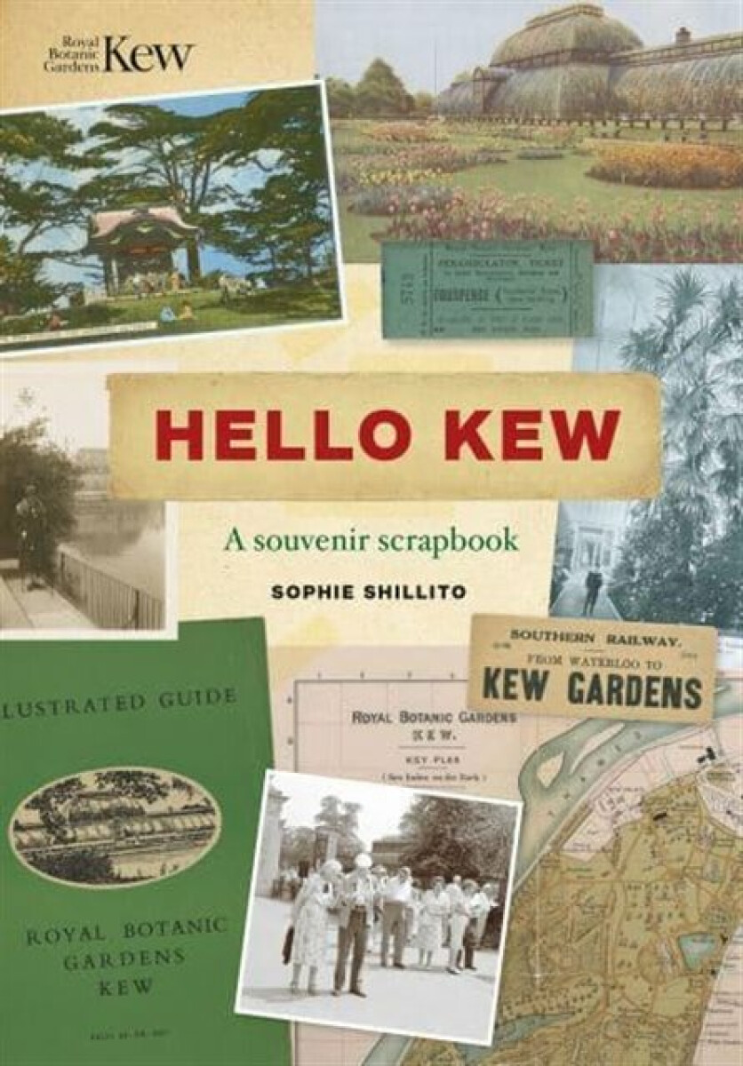 Kniha Hello Kew